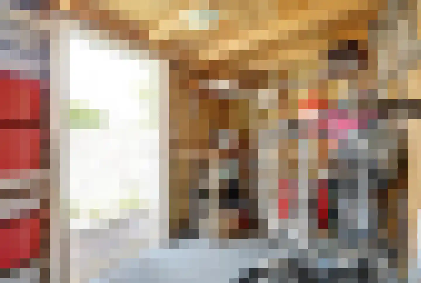 Nieuwlandseweg 7 Nieuw- en Sint Joosland thumbnail 33