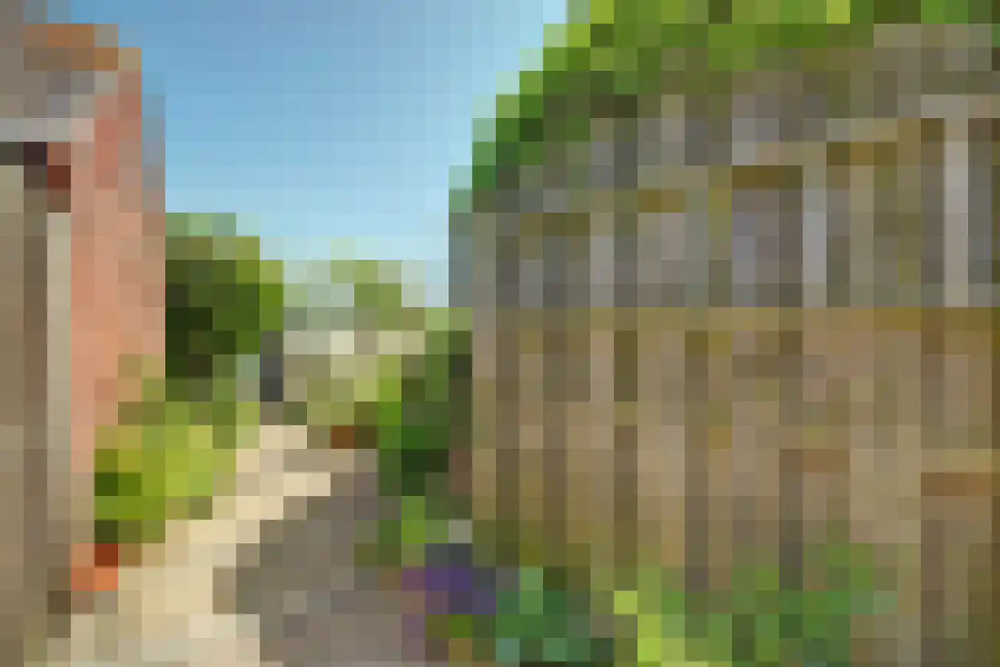 Nieuwlandseweg 7 Nieuw- en Sint Joosland thumbnail 34