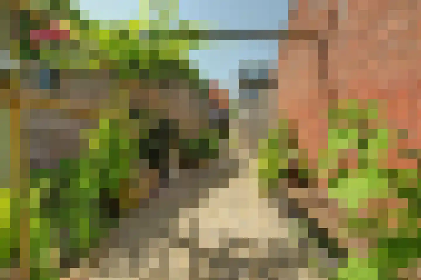 Nieuwlandseweg 7 Nieuw- en Sint Joosland thumbnail 36