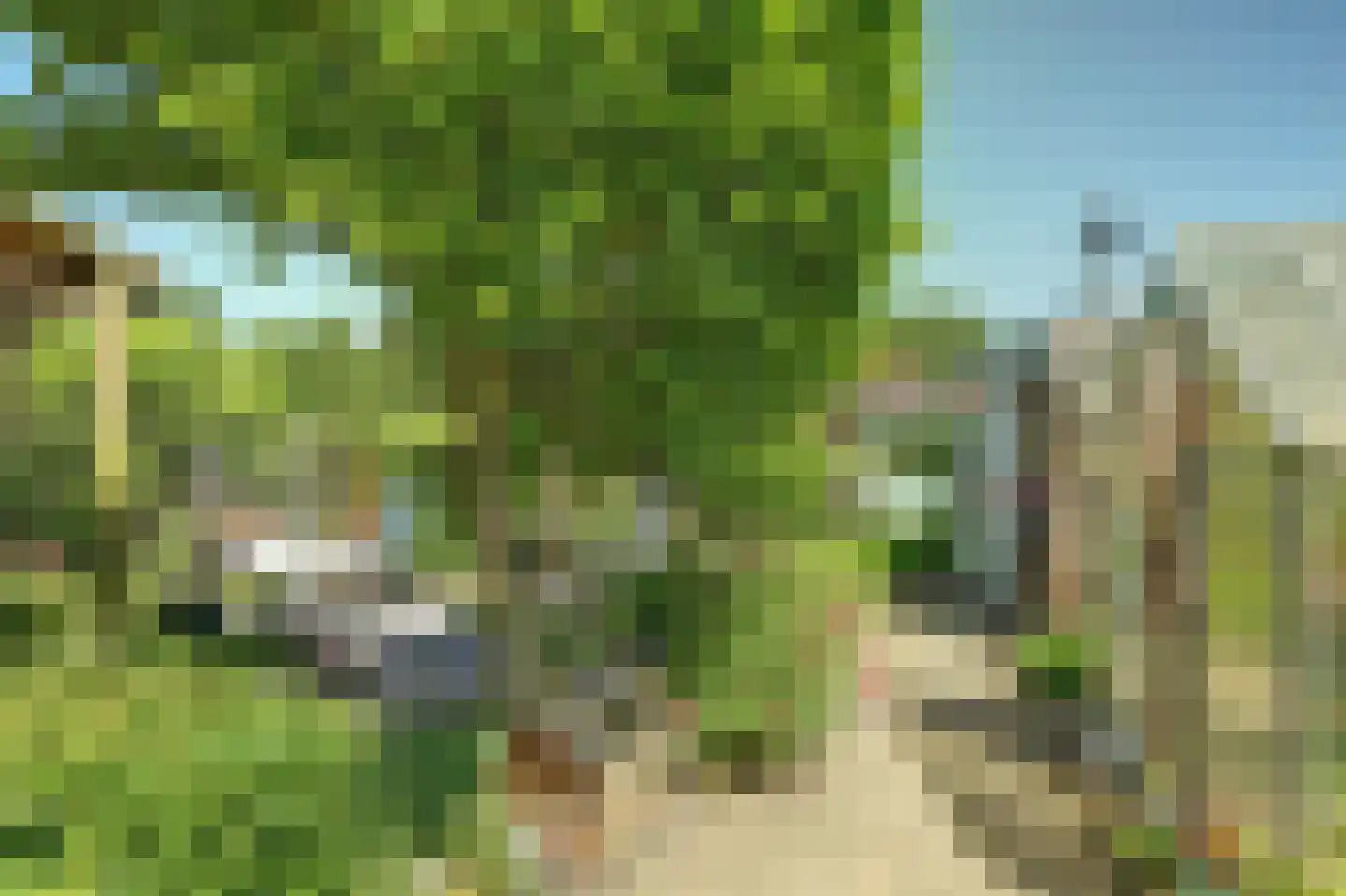 Nieuwlandseweg 7 Nieuw- en Sint Joosland thumbnail 37