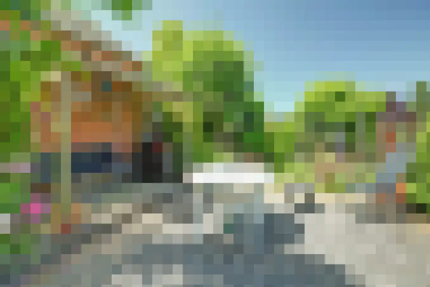 Nieuwlandseweg 7 Nieuw- en Sint Joosland thumbnail 39