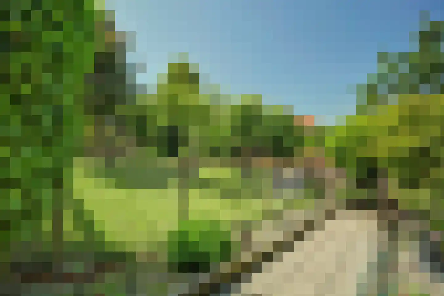 Nieuwlandseweg 7 Nieuw- en Sint Joosland thumbnail 45