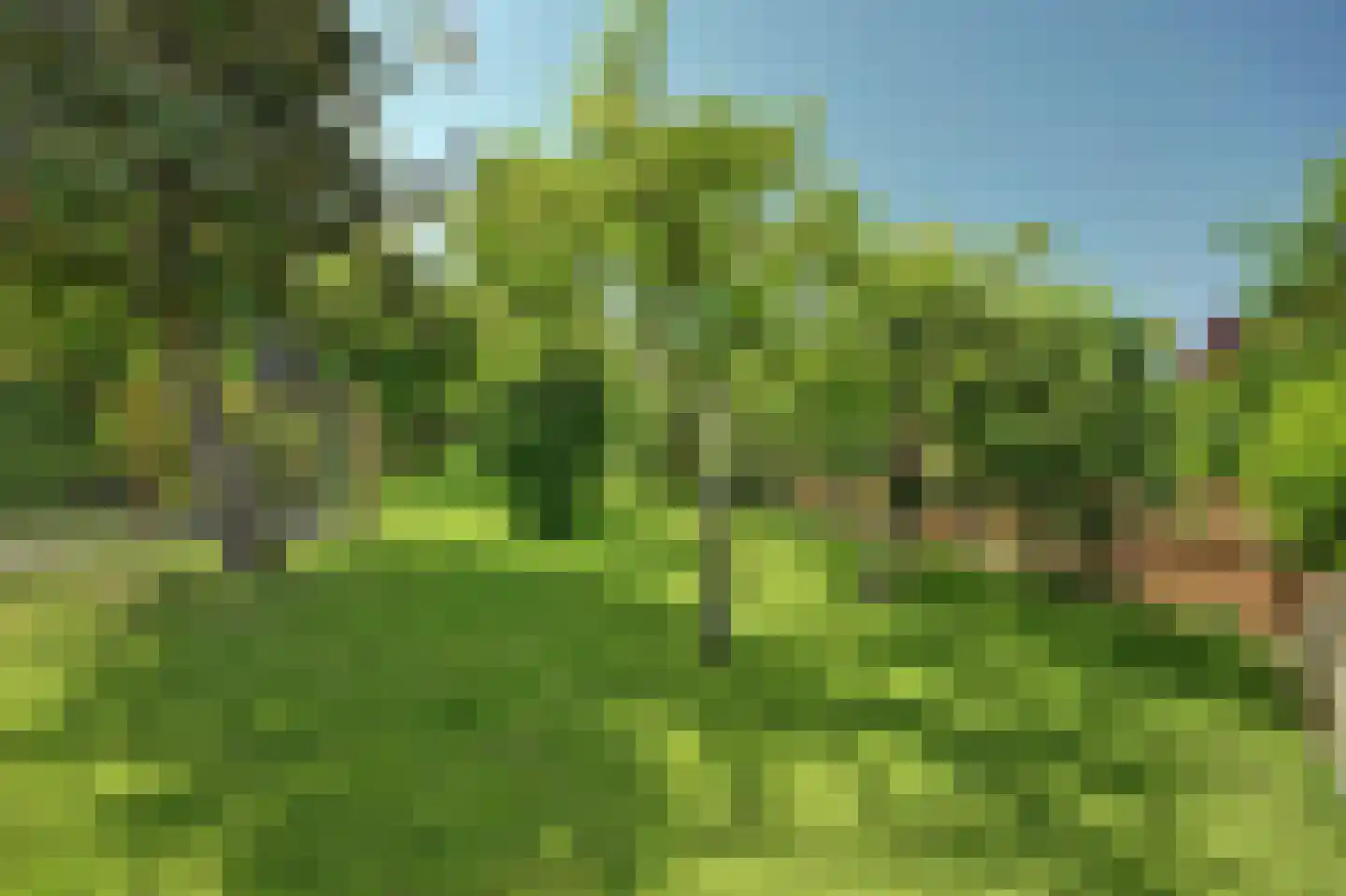 Nieuwlandseweg 7 Nieuw- en Sint Joosland thumbnail 46