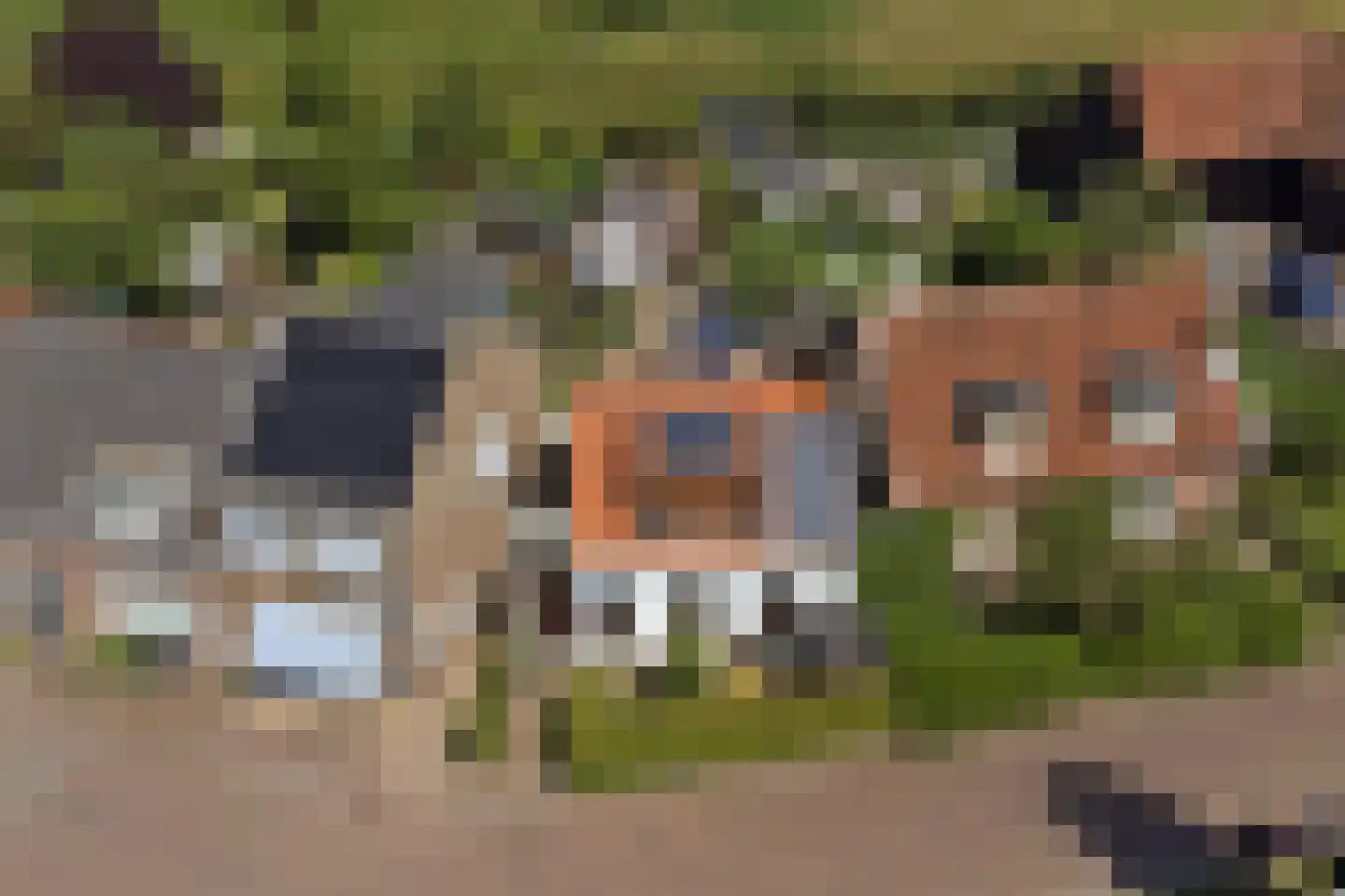 Nieuwlandseweg 7 Nieuw- en Sint Joosland thumbnail 47
