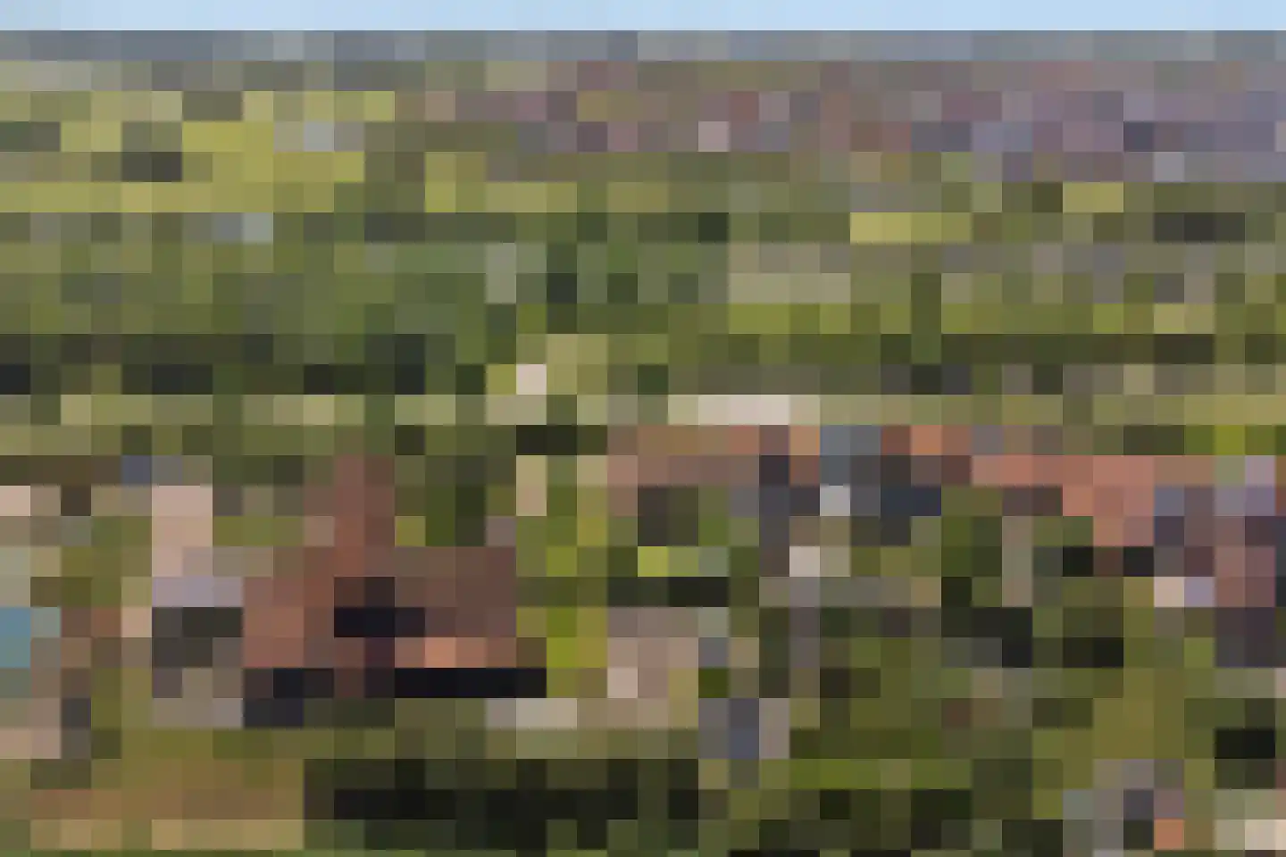 Nieuwlandseweg 7 Nieuw- en Sint Joosland thumbnail 50
