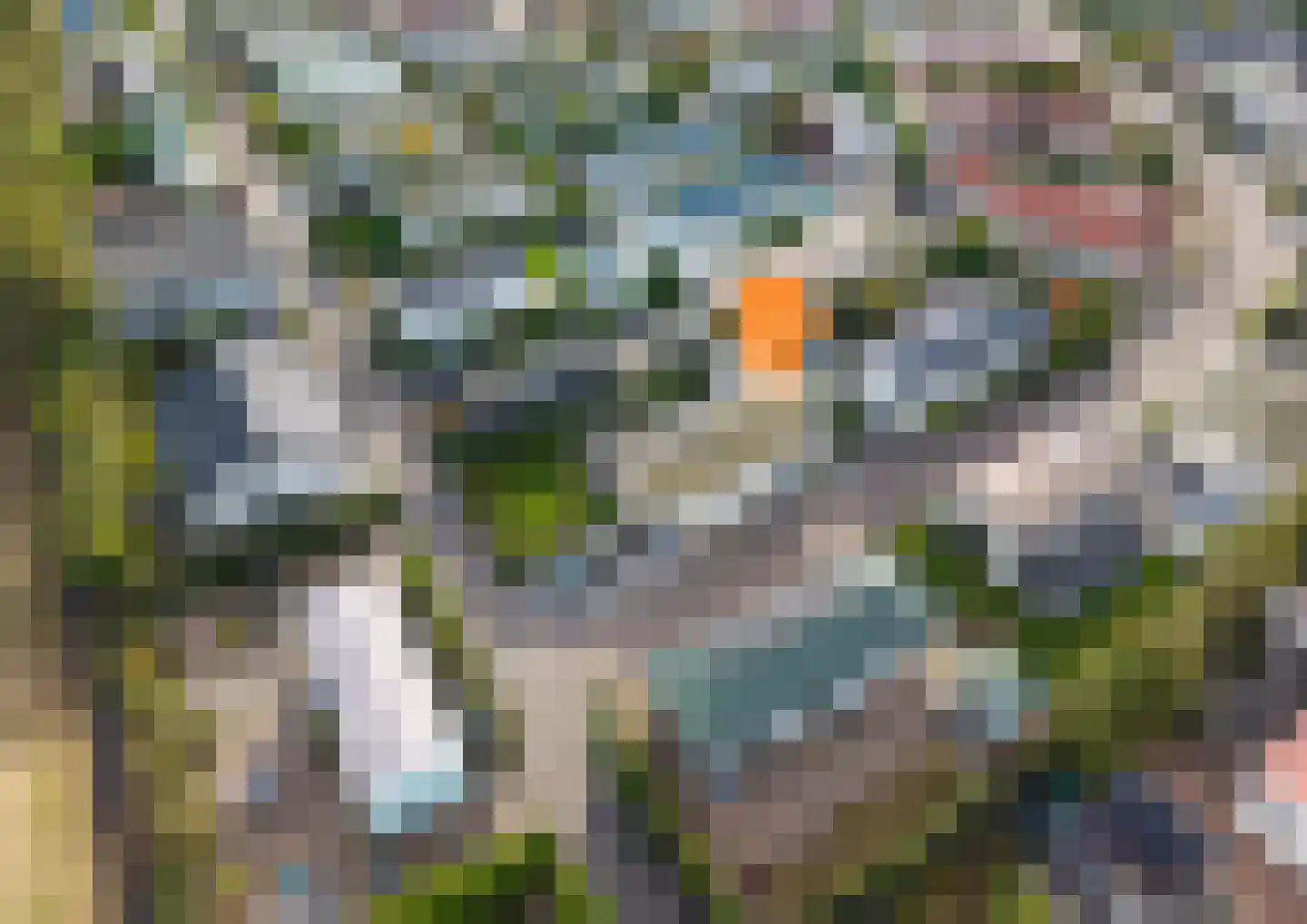 Nieuwlandseweg 76 Sint-Annaland thumbnail 39