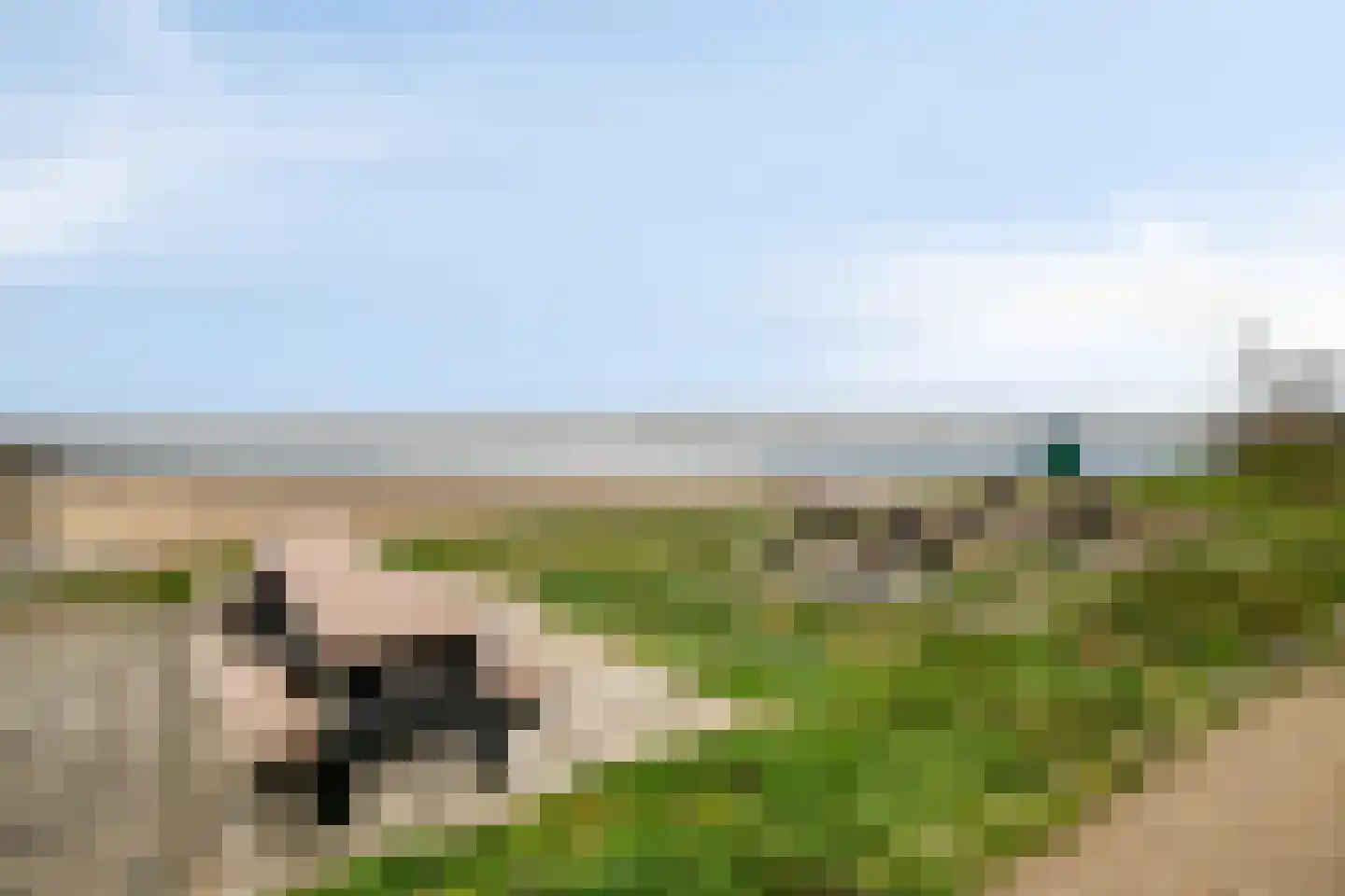 Nieuwlandseweg 76 Sint-Annaland thumbnail 41