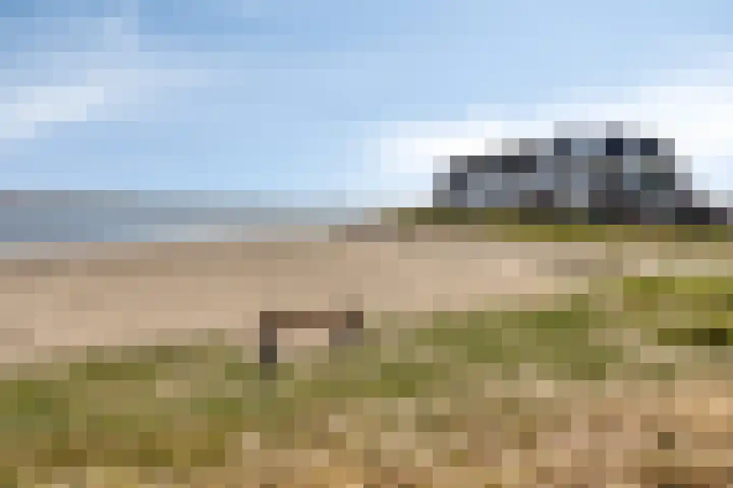Nieuwlandseweg 84 Sint-Annaland thumbnail 45