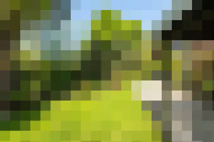 Nieuwlandseweg 92 Hilversum thumbnail 24