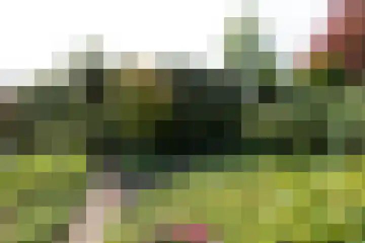 Nieuwlandseweg 92 Hilversum thumbnail 27