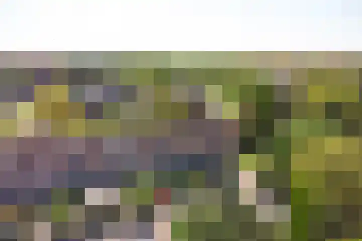 Nieuwlandseweg 92 Hilversum thumbnail 30