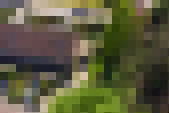 Nieuwlandseweg 92 Hilversum thumbnail 31