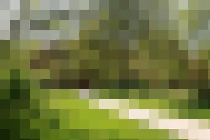 Nieuwlandseweg 92 Hilversum thumbnail 33