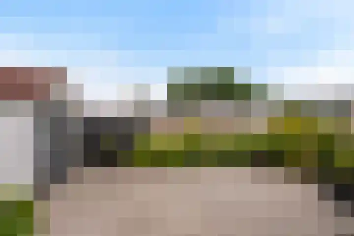 Nieuwlandseweg 98 Sint-Annaland thumbnail 31