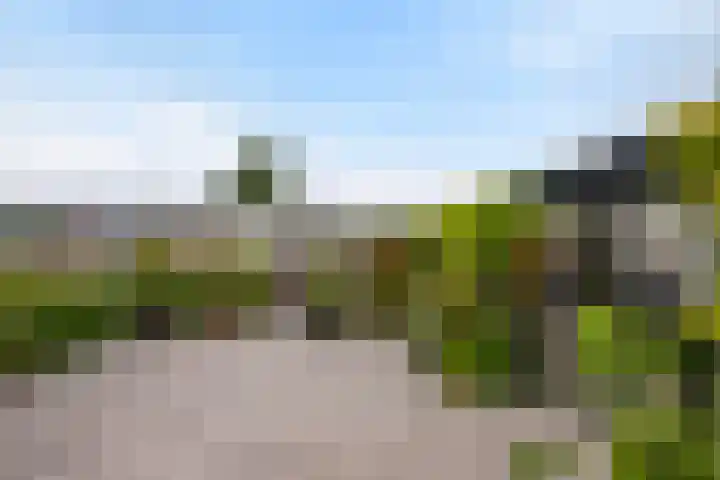 Nieuwlandseweg 98 Sint-Annaland thumbnail 33