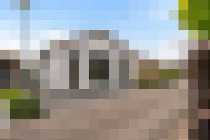 Nieuwlandseweg 98 Sint-Annaland thumbnail 38