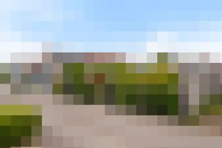 Nieuwlandseweg 98 Sint-Annaland thumbnail 7