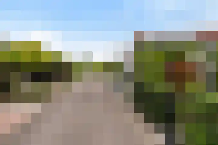 Nieuwlandseweg 98 Sint-Annaland thumbnail 8