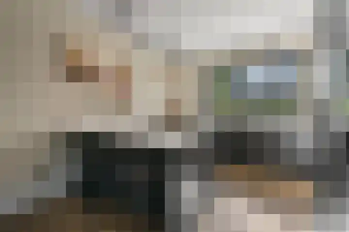 Nieuwlandstraat 11 Zoetermeer thumbnail 13