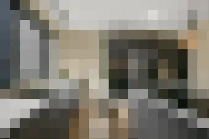 Nieuwlandstraat 11 Zoetermeer thumbnail 14