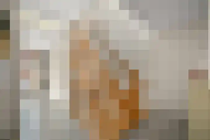 Nieuwlandstraat 11 Zoetermeer thumbnail 17