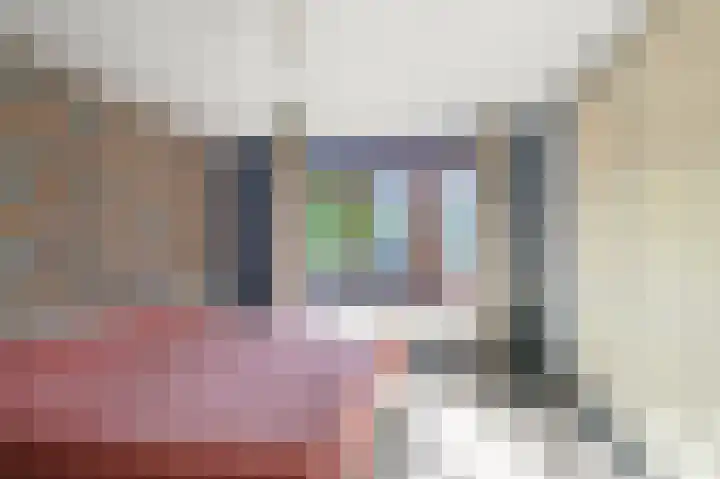 Nieuwlandstraat 11 Zoetermeer thumbnail 18
