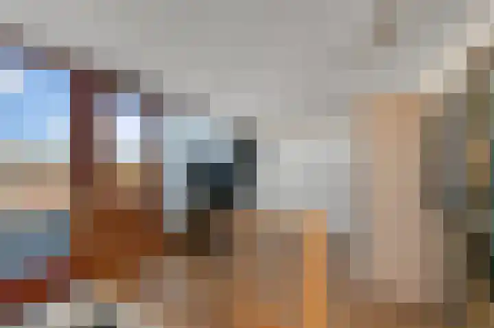 Nieuwlandstraat 11 Zoetermeer thumbnail 29