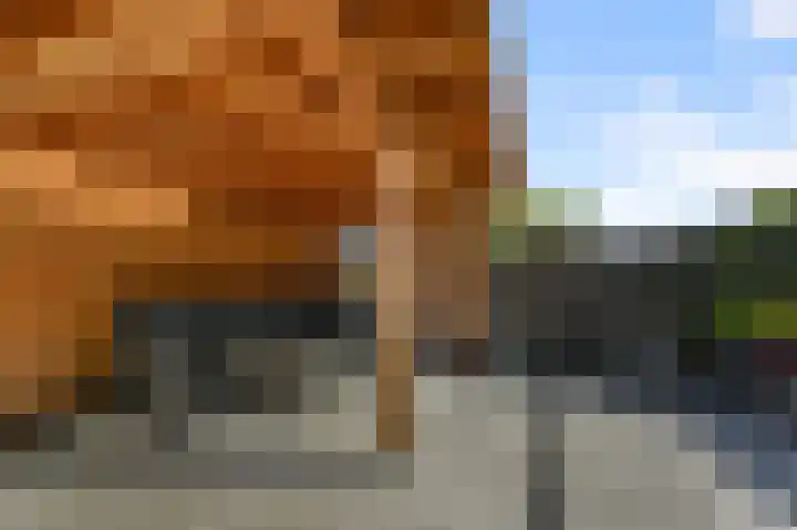 Nieuwlandstraat 11 Zoetermeer thumbnail 37