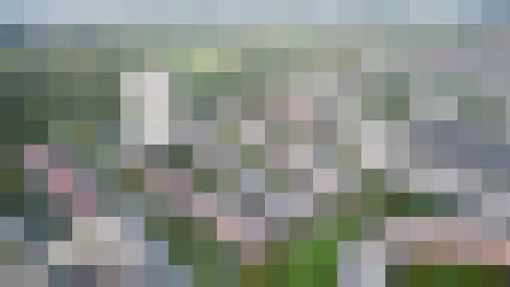 Nieuwlandstraat 11 Zoetermeer thumbnail 38