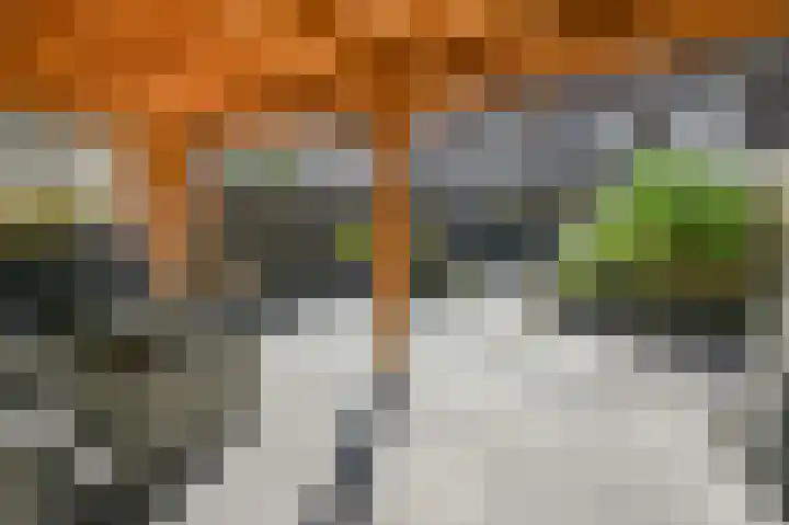 Nieuwlandstraat 11 Zoetermeer thumbnail 5