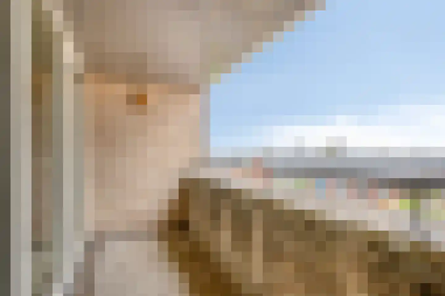 Nieuwlandstraat 12 Zoetermeer thumbnail 23