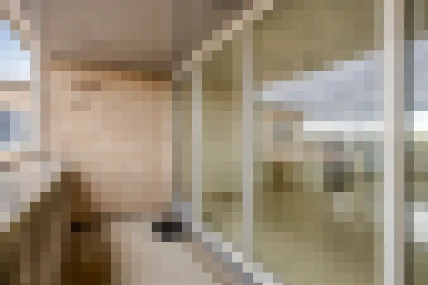Nieuwlandstraat 12 Zoetermeer thumbnail 24