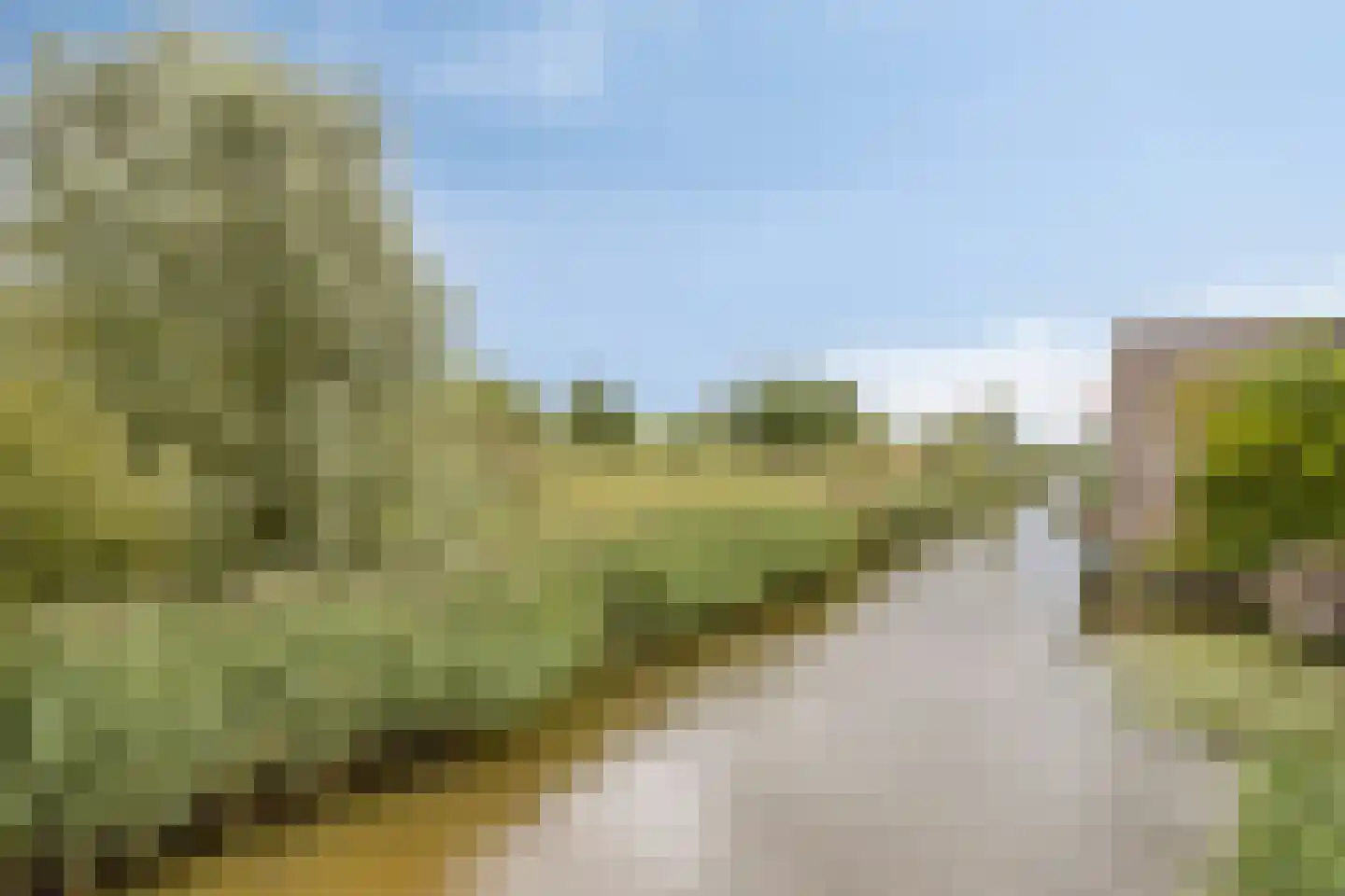 Nieuwlandstraat 12 Zoetermeer thumbnail 5