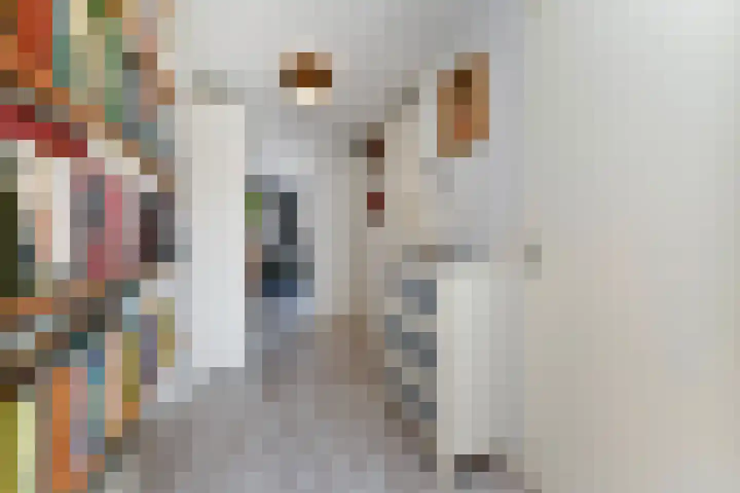 Nieuwlandstraat 126 Zoetermeer thumbnail 10
