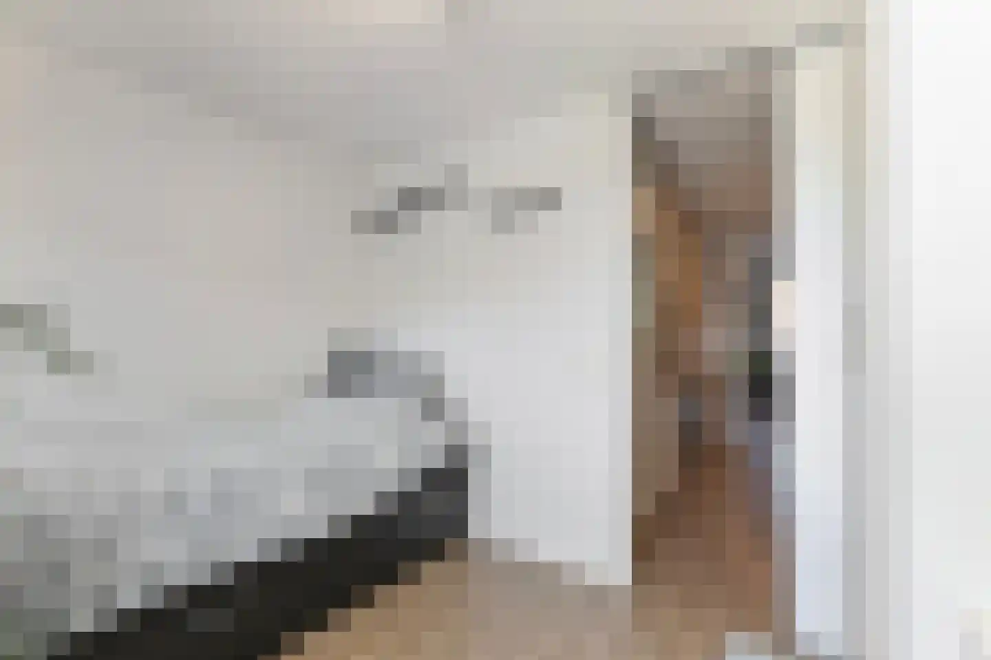 Nieuwlandstraat 126 Zoetermeer thumbnail 28