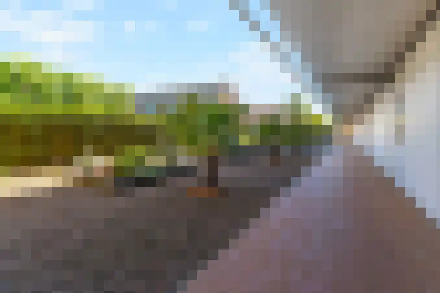 Nieuwlandstraat 126 Zoetermeer thumbnail 33