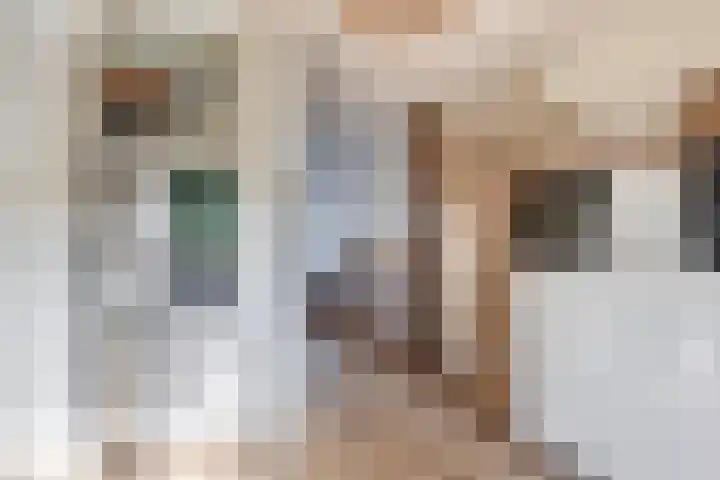 Nieuwlandstraat 13 Zoetermeer thumbnail 12