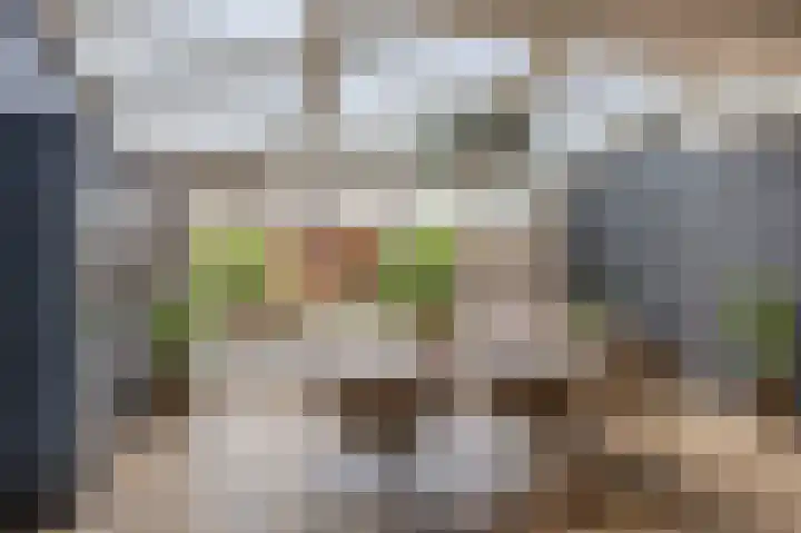 Nieuwlandstraat 13 Zoetermeer thumbnail 17