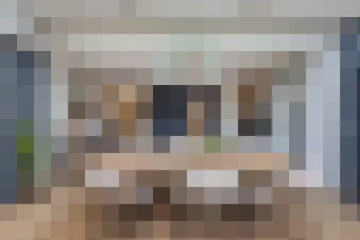 Nieuwlandstraat 13 Zoetermeer thumbnail 18