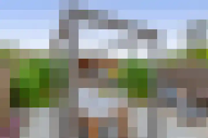 Nieuwlandstraat 13 Zoetermeer thumbnail 22