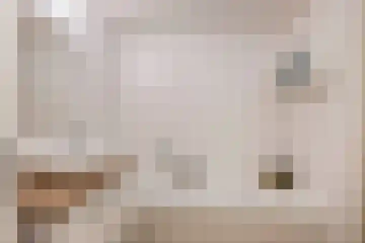 Nieuwlandstraat 13 Zoetermeer thumbnail 33