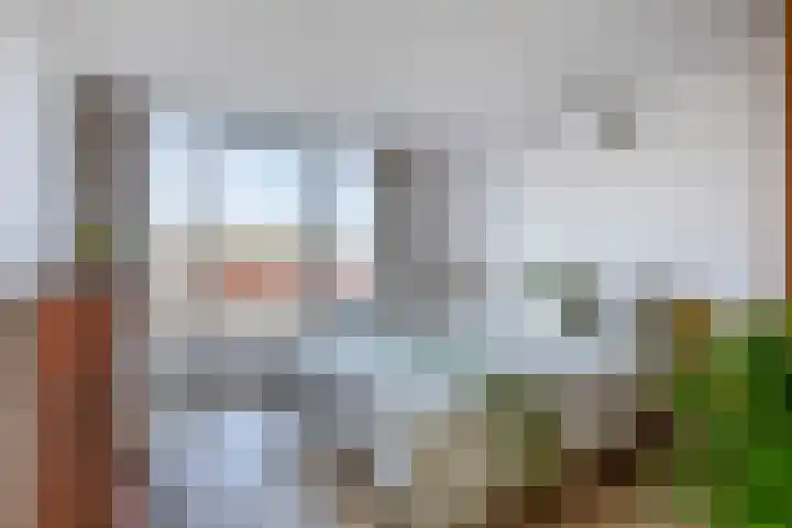 Nieuwlandstraat 13 Zoetermeer thumbnail 40
