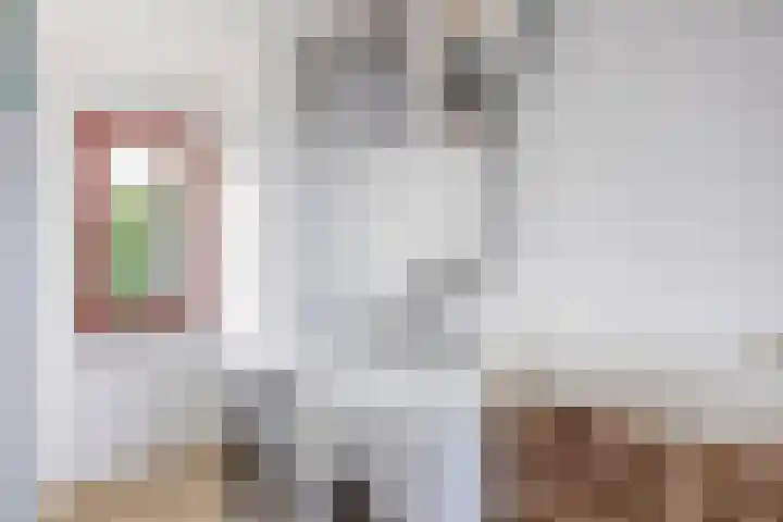 Nieuwlandstraat 13 Zoetermeer thumbnail 45