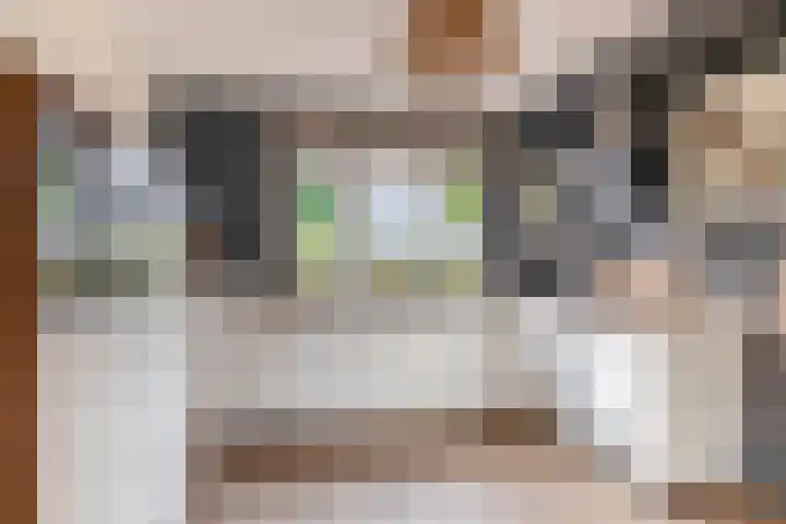 Nieuwlandstraat 13 Zoetermeer thumbnail 9