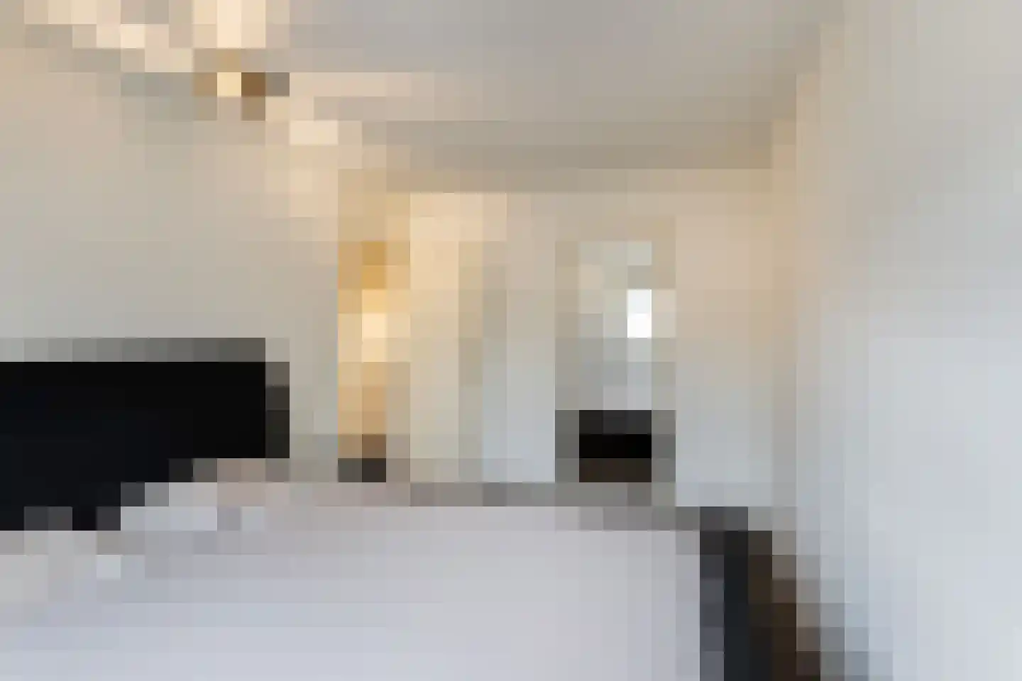 Nieuwlandstraat 15 Vlaardingen thumbnail 19