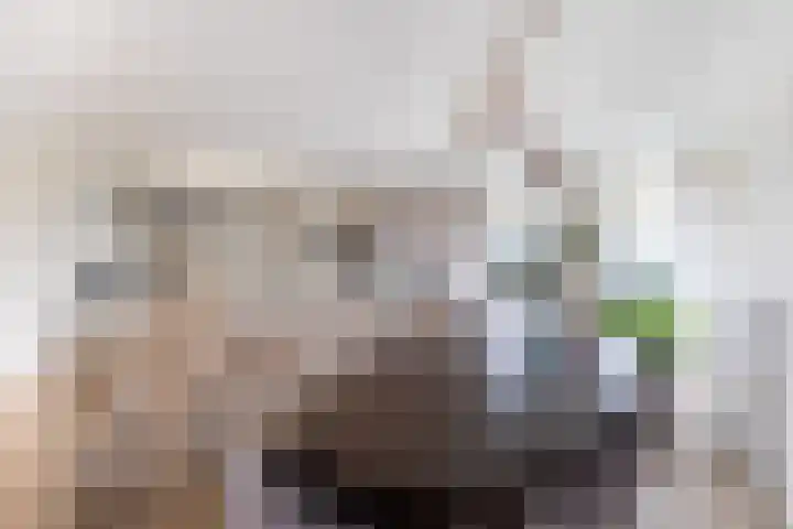 Nieuwlandstraat 166 Zoetermeer thumbnail 9