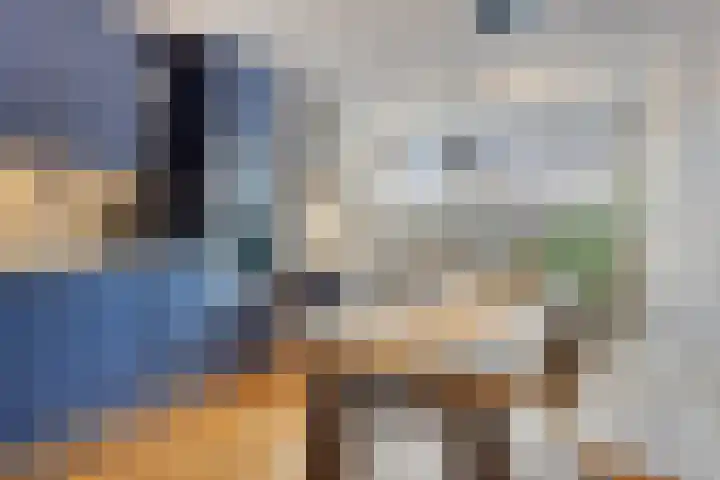 Nieuwlandstraat 20 Zoetermeer thumbnail 11