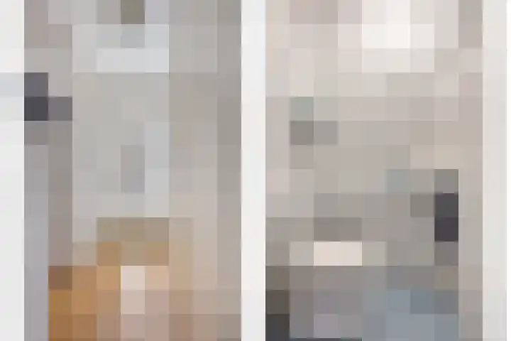 Nieuwlandstraat 20 Zoetermeer thumbnail 14