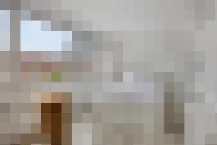 Nieuwlandstraat 20 Zoetermeer thumbnail 18