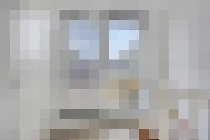 Nieuwlandstraat 20 Zoetermeer thumbnail 26